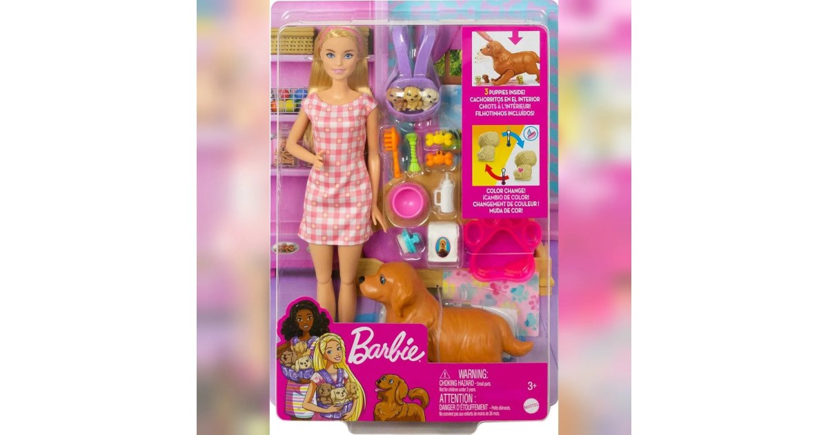Muñeca Barbie y Cachorros Recién Nacidos 